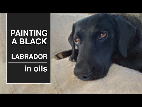 Видео: Картина маслом «Черный лабрадор» — деконструкция картины с собакой и покадровая видеосъёмка