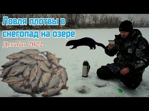 Видео: Ловля плотвы в снегопад на озере с подводными съемками в декабре .