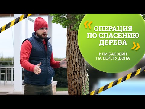 Видео: Круглогодичный бассейн на берегу реки