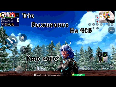 Видео: Трио выживание на общественном сервере #lios #растмирейд #lastislandofsurvival #растантирейддом 