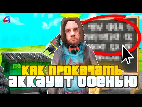 Видео: КАК НОВИЧКУ ЗА ОСЕНЬ - ПРОКАЧАТЬ АККАУНТ на АРИЗОНА РП? ГАЙД на ARIZONA RP 2024 (GTA SAMP)