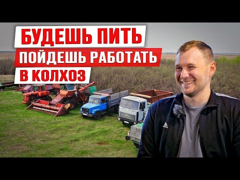 Видео: Кормим страну! История молодого фермера | Начал бизнес без кредитов | Трактор ДТ-75 и комбайн Нива