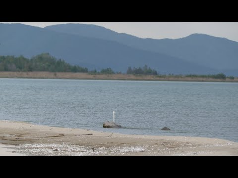Видео: Ќе успее ли мисијата на Рамсар да го спаси Преспанското Езеро