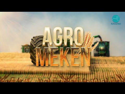 Видео: Агро мекен | "Береке" шаруа қожалығы