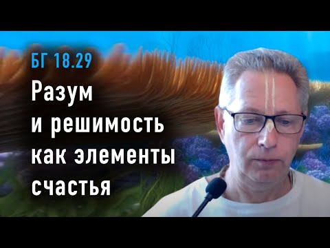 Видео: 2024-04-22 - БГ 18.29 - Разум и решимость как элементы счастья