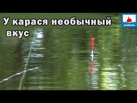 Видео: Эта необычная арома СРАБОТАЛА! Рыбалка на карася на поплавок. Рыбнадзор лютует!