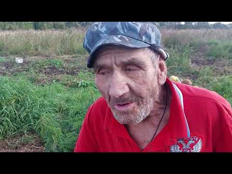 Видео: Дед Матвей получил посылку.