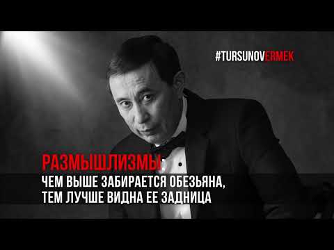 Видео: Чем выше забирается обезьяна, тем лучше видна ее задница / #Размышлизмы / Ермек #Турсунов