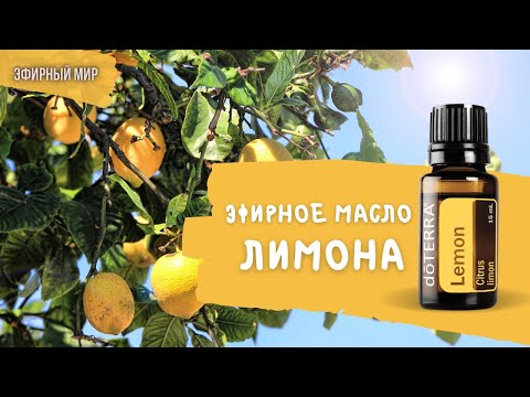 Видео: 🍋Эфирное масло лимона - почему лимон нужен всем?