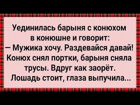 Видео: Как Барыня в Конюшне Мужика Захотела! Сборник Свежих Анекдотов! Юмор!