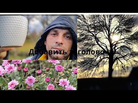 Видео: Кофейное утро. Аренда дома Актуальна!