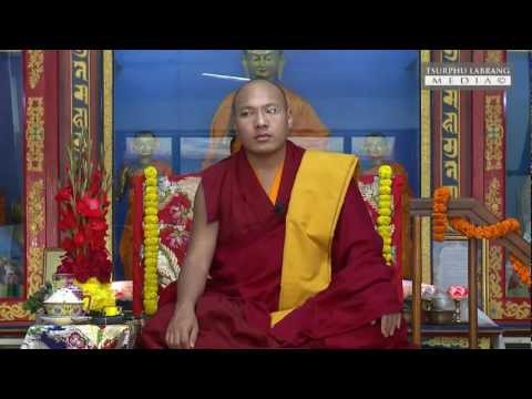 Видео: Кармапа о природе ума