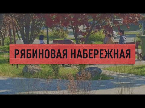 Видео: Рябиновая набережная на реке Рогатка в городе Южно-Сахалинск