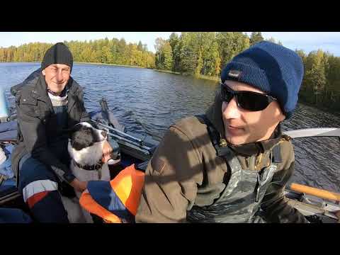 Видео: Заключительная рыбалка и отдых на озере Сандал  Карелия