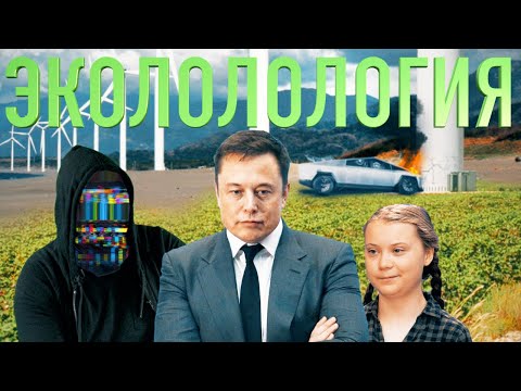 Видео: ЭКО-ДВИЖЕНИЕ = СКАМ? [netstalkers] Tesla, Грета, Два Шоппера
