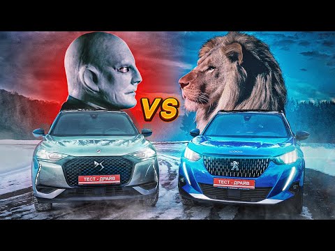 Видео: Львенок против Фантомаса. Peugeot 2008 VS DS3 Crossback 2020