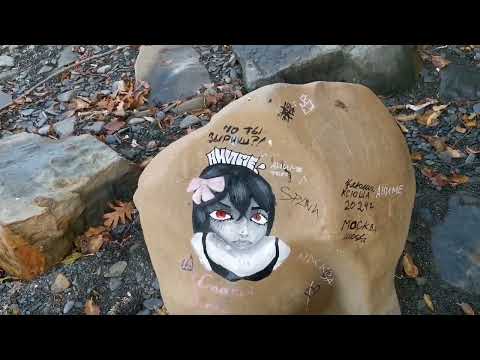 Видео: Анапа 20 ноября Большой Утриш 🐟Сарган прёт!!!