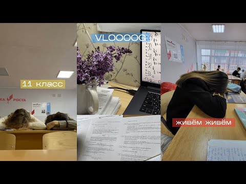 Видео: день из жизни 11-классницы | ЕГЭ | репетиции