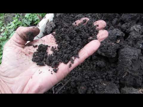 Видео: Заготовка грунта