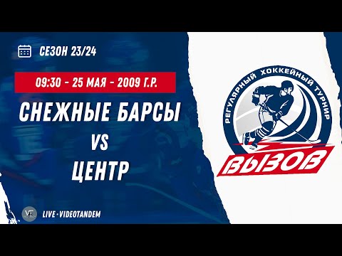 Видео: Снежные Барсы 09 (Москва) - Центр 09 (Москва) / 25.05.2024