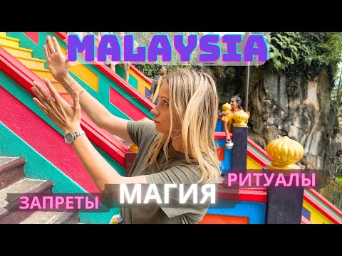 Видео: МАЛАЙЗИЯ🇲🇾 и её обитатели. ВСË ПОКА!