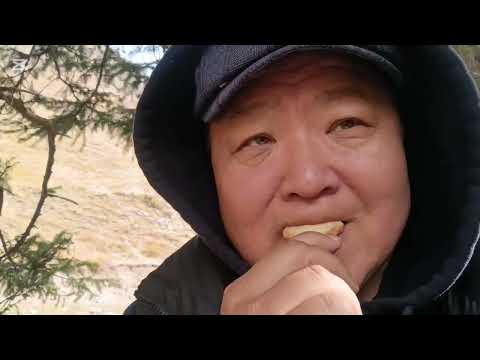 Видео: Горный фонтан Ак-Тюза.Отель,,Jorgo".Прибилась афганская борзая.Спуск по саю.На ужин шурпа.Vlog.