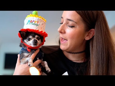 Видео: 11 лет ВМЕСТЕ !  - Дженна Марблс  и Чихуахуа