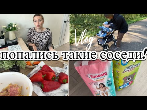 Видео: VLOG: Наши СОСЕДИ/Перец в ДУХОВКЕ/Заморозка НА ЗИМУ/Едем РАЗВЛЕКАТЬСЯ