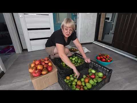 Видео: Порвала последние связи с ней