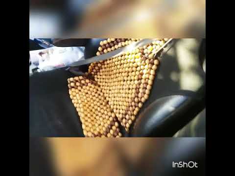 Видео: Слабые места Honda CRV-3 выбор хонды црв