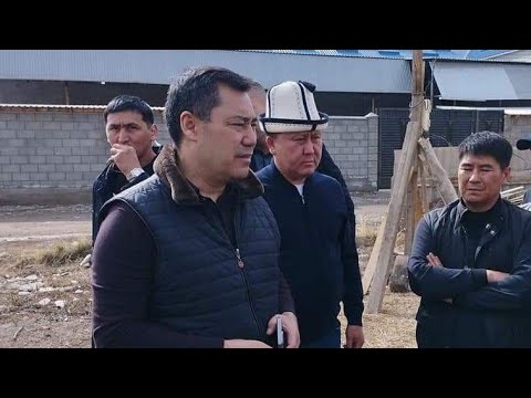 Видео: Президент Садыр Жапаров "Ак-Ордо" конушуна барды