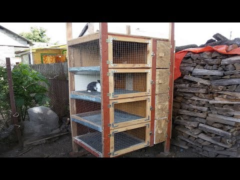Видео: Сколько нужно клеток кроликам