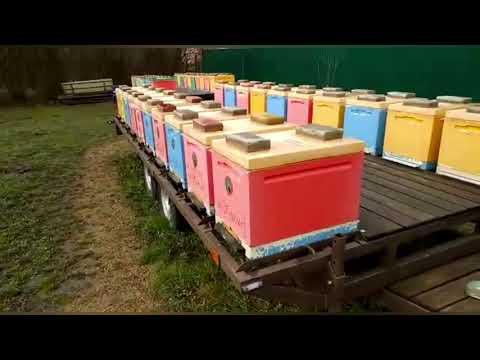 Видео: Обзор пчелоприцепов и крепежа Ульёв#пчеловодство#пасека#пчёлы#изоляцияматок#изолятор#малыхин#весна.