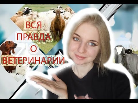 Видео: ВСЯ ПРАВДА О ПРОФЕССИИ ВЕТЕРИНАРА