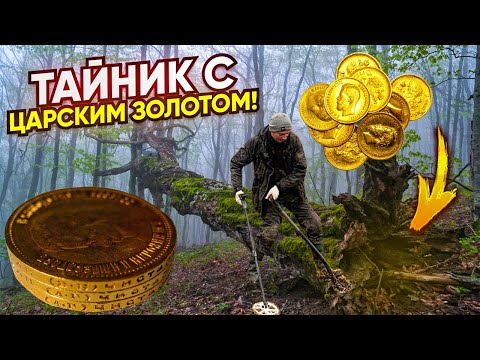 Видео: Нашли Тайник с Золотыми червонцами! Клад был под корнем старого дуба! Заначка вора или ювелира?!