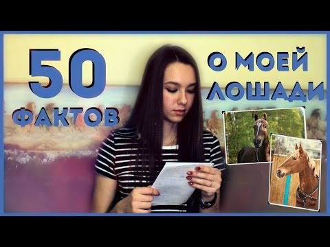 Видео: 50 ФАКТОВ О МОЕЙ ЛОШАДИ