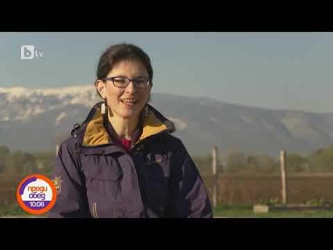 Видео: Преди обед: Защо все повече хора избират живота на село?