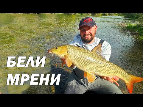 Видео: МРЕНИ на МАЧ и ПЛУВКА - ЛОВИХ с ВЪДИЦА без МАРКА