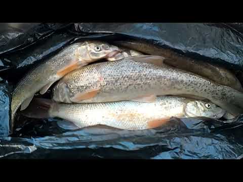 Видео: Выход на реку Малка