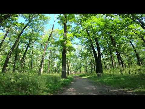 Видео: г  Болохово - Город детства (FPV съемка)