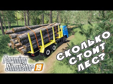 Видео: ФЕРМЕР ПОШЕЛ В ЛЕСНОЙ БИЗНЕС! СКОЛЬКО МОЖНО НА ЭТОМ ЗАРАБОТАТЬ? Farming Simulator 19