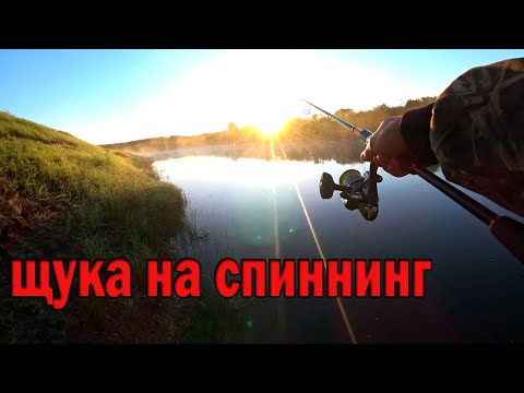 Видео: речка Омка, накорми нас!!