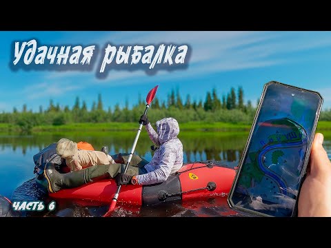 Видео: Хариусовый перекат | Северный Тиман 2025