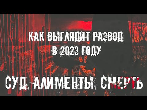 Видео: Как выглядит процедура развода в 2023 году