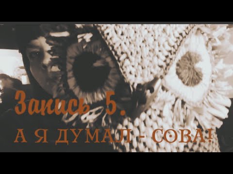 Видео: Запись 5. Готовые работы, процесс и покупка новой пряжи. #вязальныйдневник #вязание