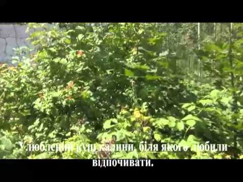 Видео: Вильча. Чернобыльская зона