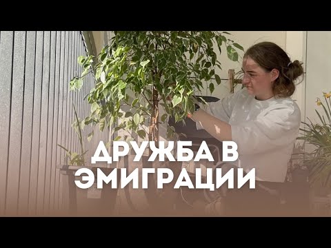 Видео: Сложно дружить в эмиграции / Обустраиваю и озеленяю балкон