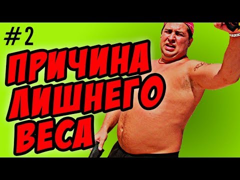 Видео: главная причина лишнего веса в 21 веке
