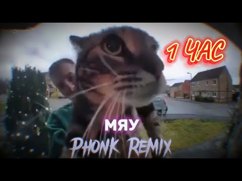 Видео: SAVUOON - МЯУ (Phonk Remix) 1 ЧАС