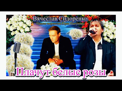 Видео: НАКОНЕЦ-ТО! ВСЕ ЖДАЛИ ЭТУ ПЕСНЮ! ❤️ ПАМЯТИ ЮРИЯ ШАТУНОВА #вячеславсидоренко